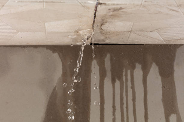 Professional Water Damage Inspection technician working in Greenlawn, NY